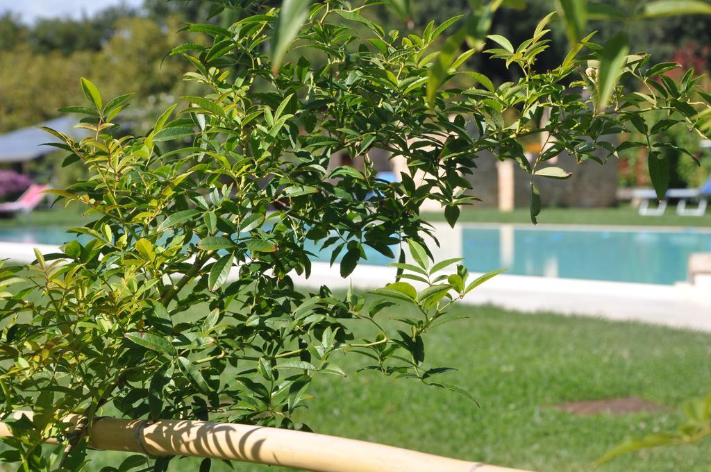 Ca' Matra Villa Lama  Exterior foto